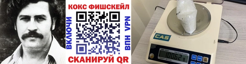 Кокаин FishScale  кракен маркетплейс  Новопавловск  где найти  