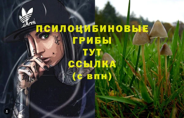Альфа ПВП Остров