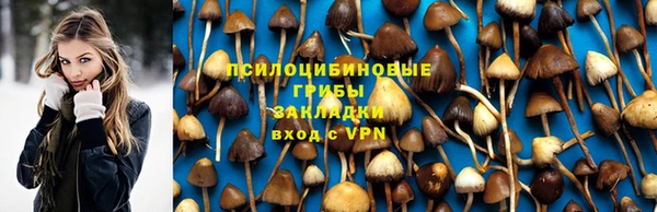 гашик Нягань