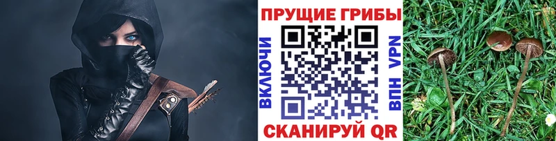 Псилоцибиновые грибы мухоморы  Новопавловск 
